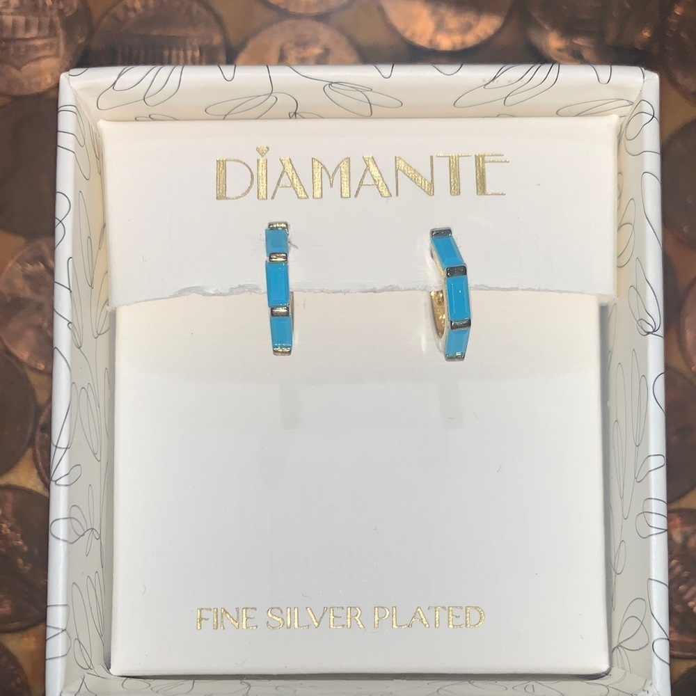 Silver Plated Blue Earrings